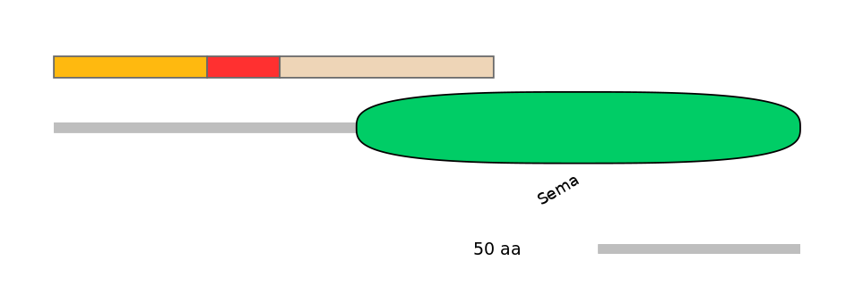 HsaEX0057083-INC