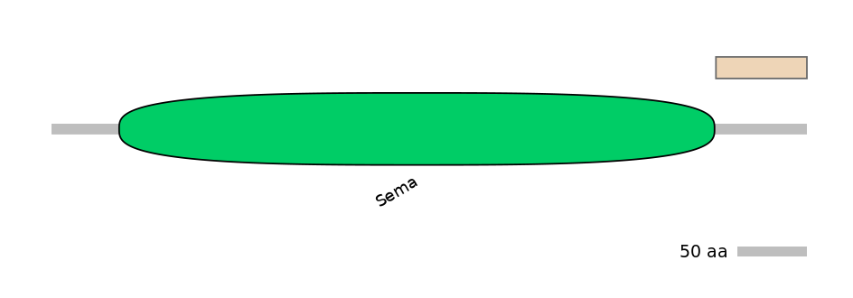 HsaEX0057106-EXC