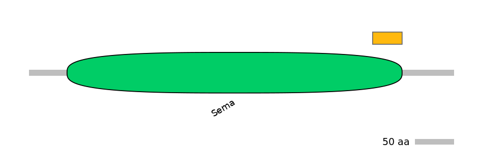 HsaEX0057113-EXC