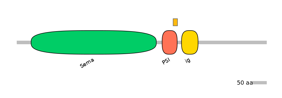 HsaEX0057114-EXC