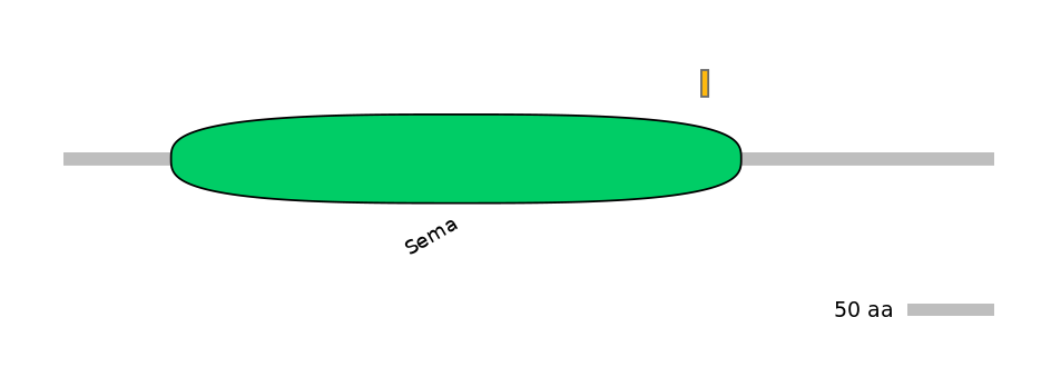 HsaEX0057164-EXC
