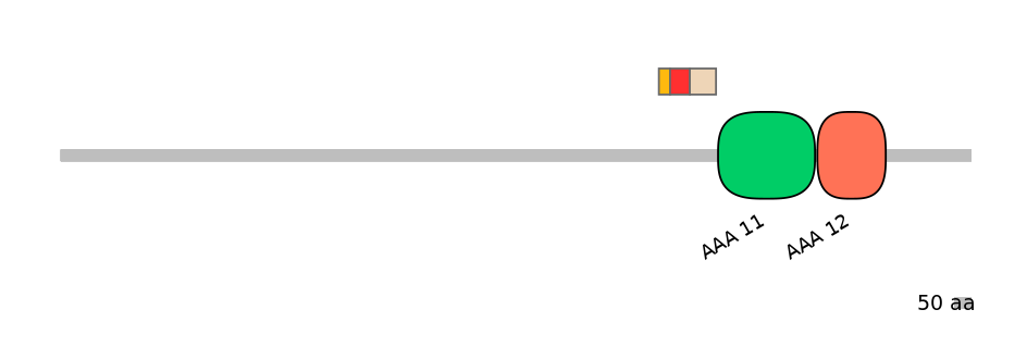 HsaEX0057541-INC