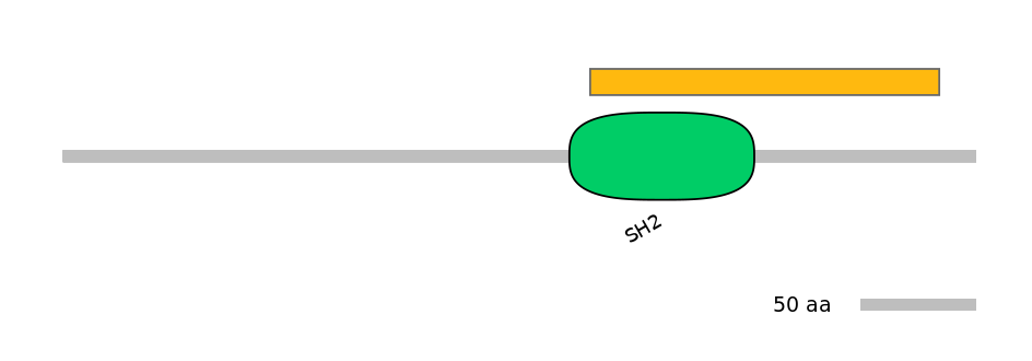 HsaEX0057926-EXC
