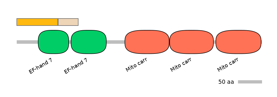 HsaEX0059046-EXC
