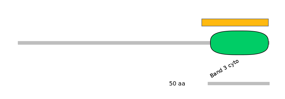 HsaEX0059782-EXC