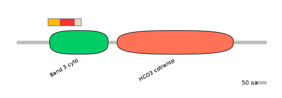 HsaEX0059782-INC