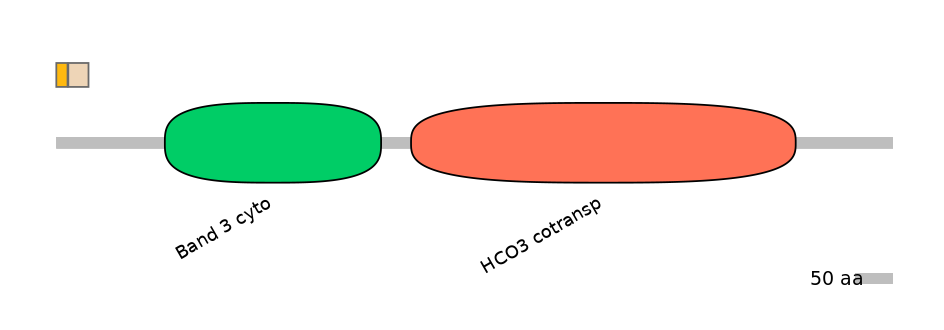 HsaEX0059787-EXC