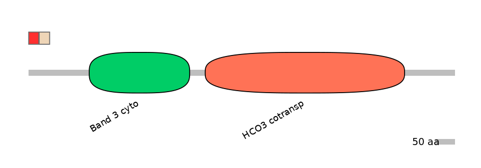 HsaEX0059787-INC