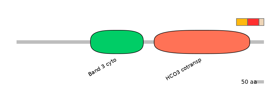 HsaEX0059803-INC