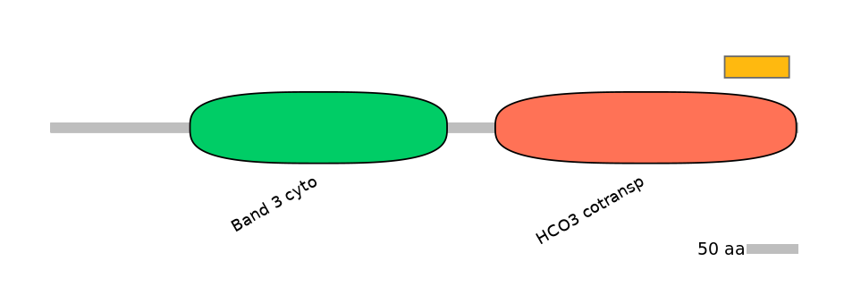 HsaEX0059810-EXC