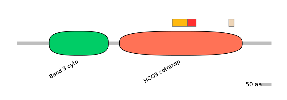 HsaEX0059810-INC