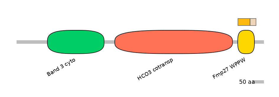 HsaEX0059811-EXC