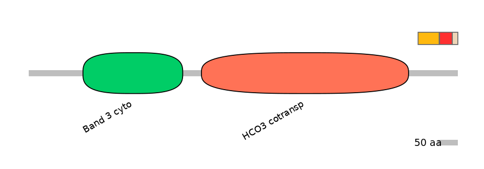 HsaEX0059811-INC
