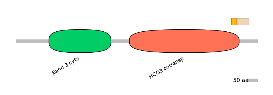 HsaEX0059830-EXC