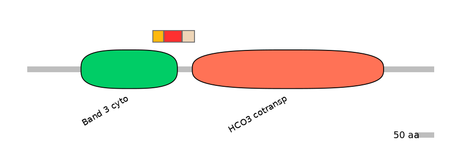 HsaEX0059851-INC