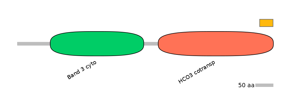 HsaEX0059853-EXC