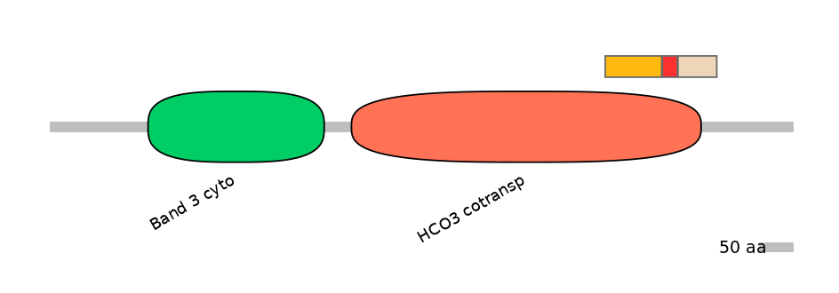 HsaEX0059855-INC