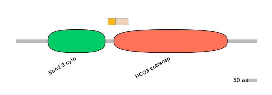 HsaEX0059857-EXC