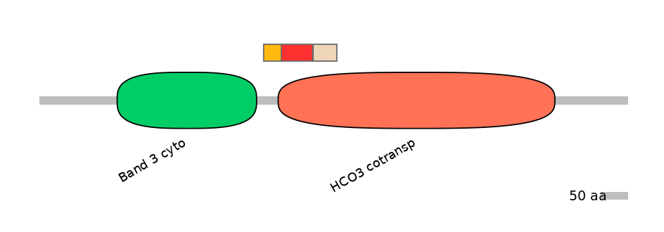 HsaEX0059858-INC
