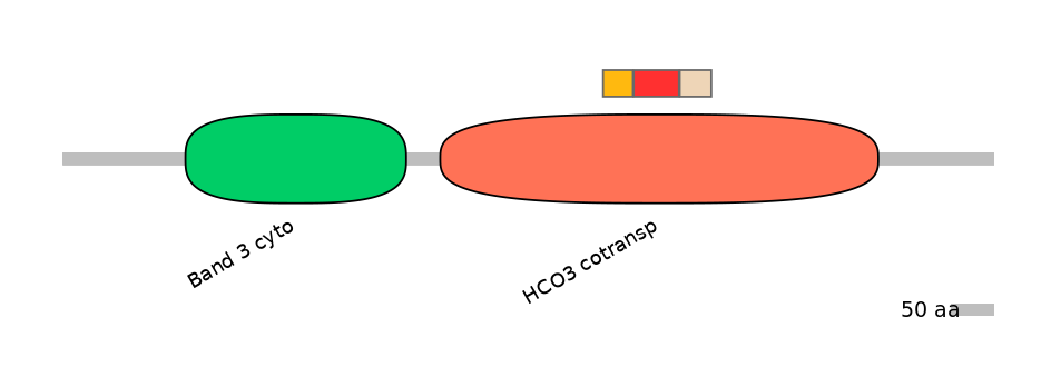 HsaEX0059862-INC