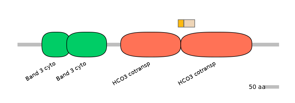 HsaEX0059863-EXC
