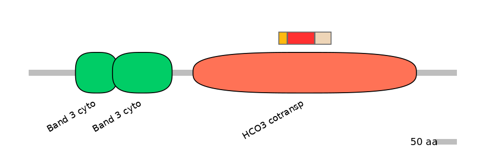 HsaEX0059863-INC