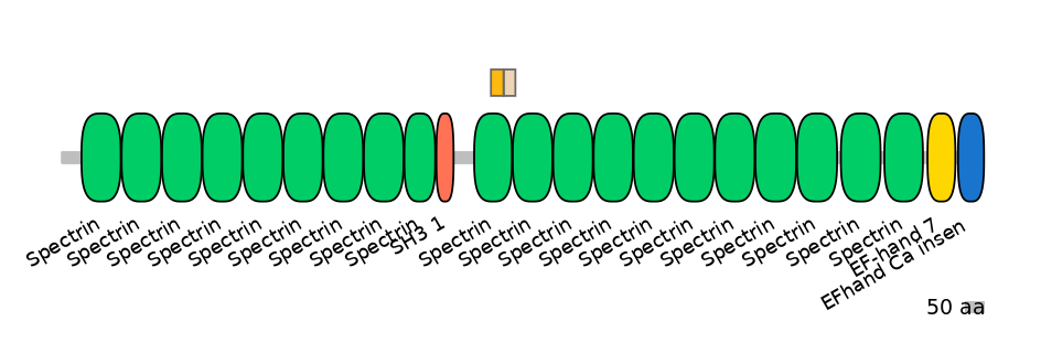 HsaEX0061545-EXC
