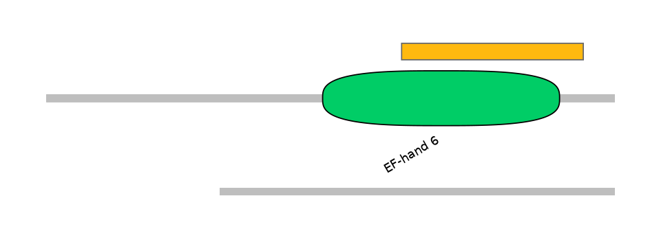 HsaEX0061728-EXC