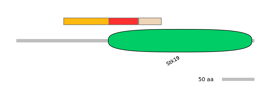 HsaEX0062456-INC