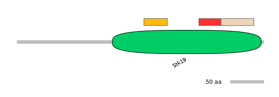 HsaEX0062458-INC
