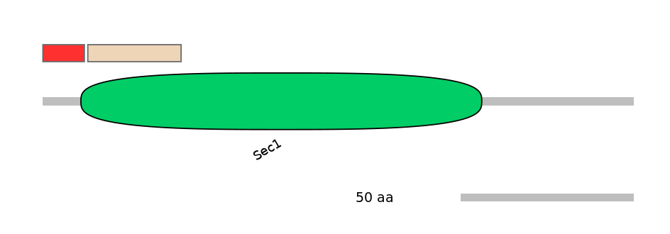 HsaEX0062734-INC