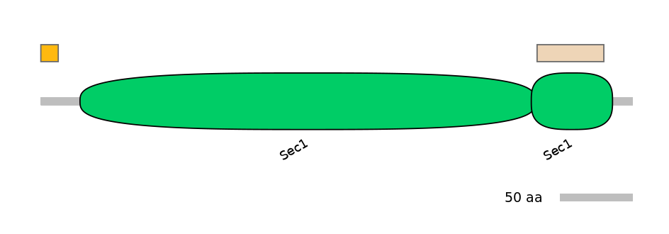 HsaEX0062737-EXC
