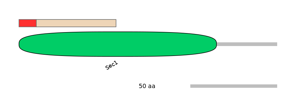 HsaEX0062737-INC