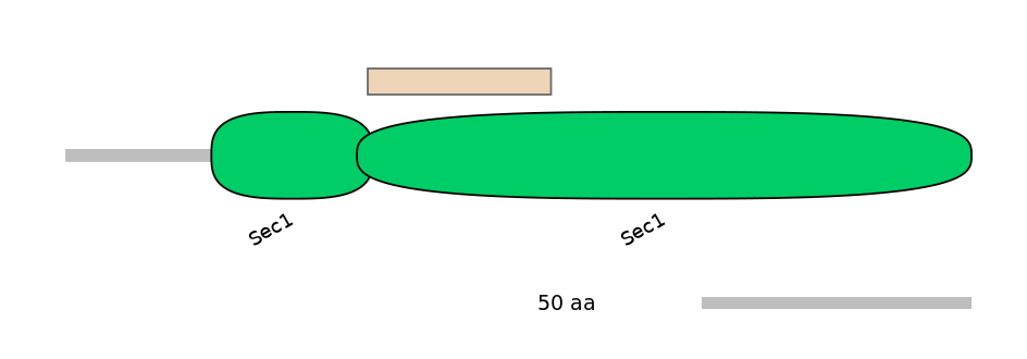 HsaEX0062740-EXC