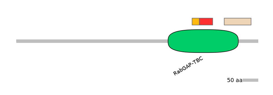 HsaEX0063756-INC