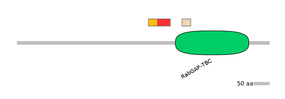 HsaEX0063762-INC
