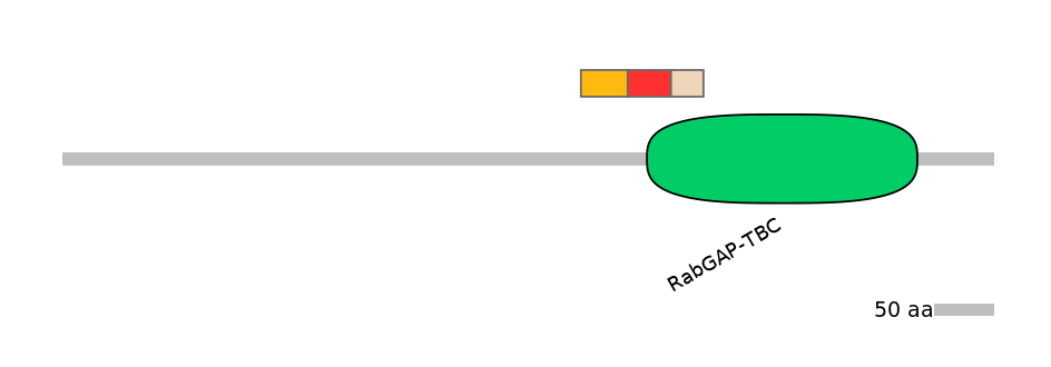 HsaEX0063763-INC