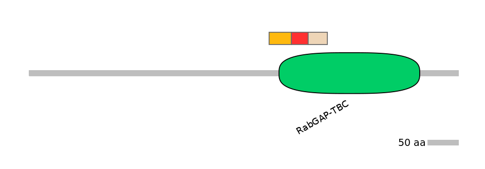 HsaEX0063775-INC