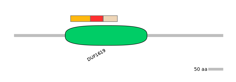 HsaEX0064284-INC