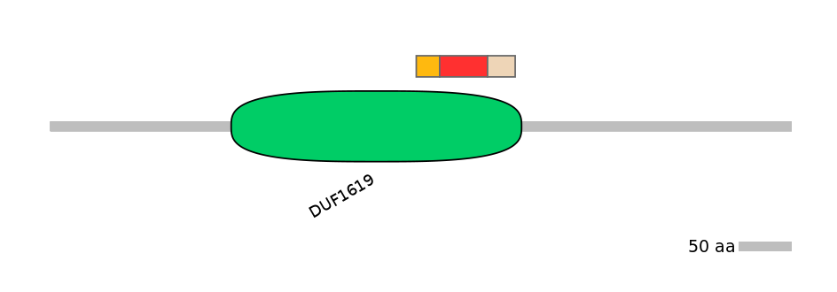 HsaEX0064288-INC