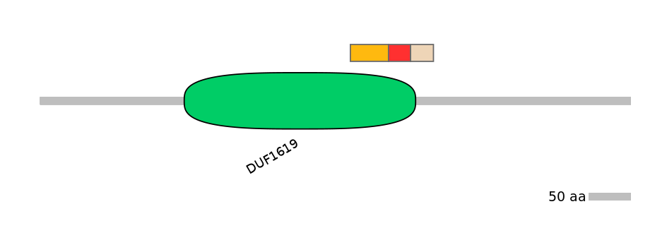 HsaEX0064289-INC
