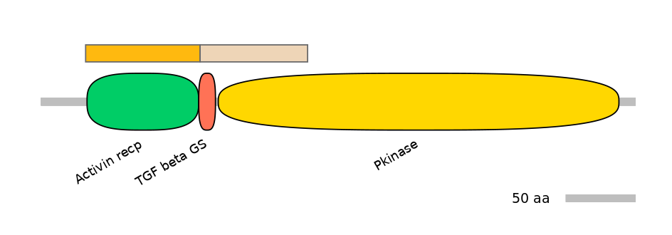 HsaEX0064710-EXC