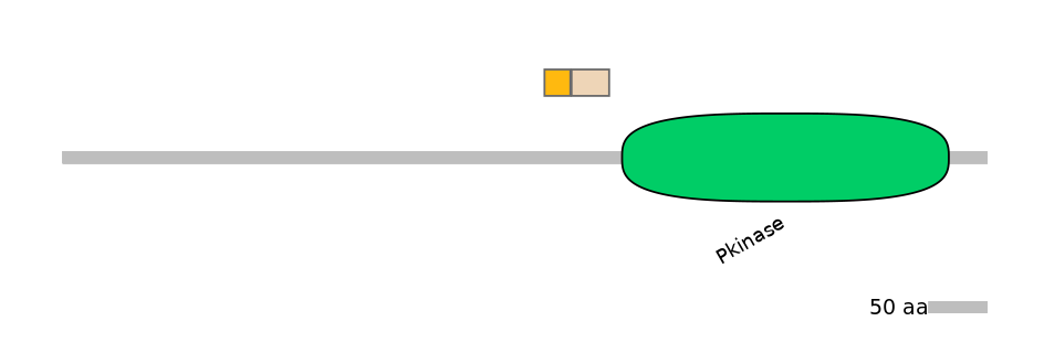 HsaEX0065117-EXC