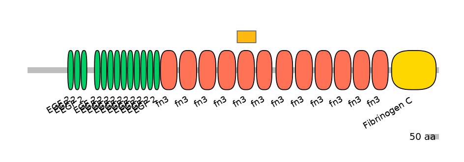 HsaEX0066148-EXC
