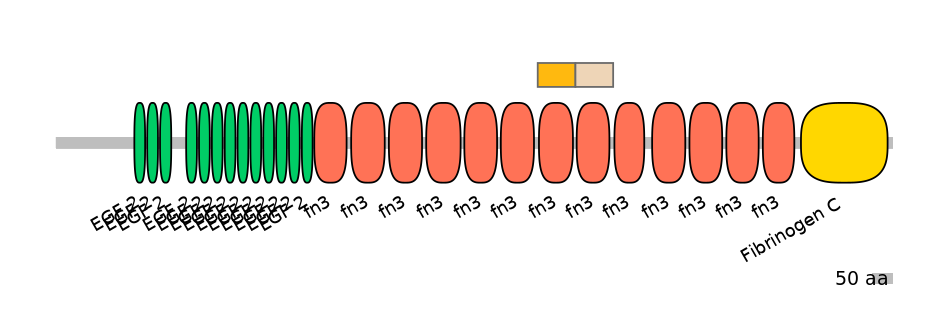 HsaEX0066149-EXC