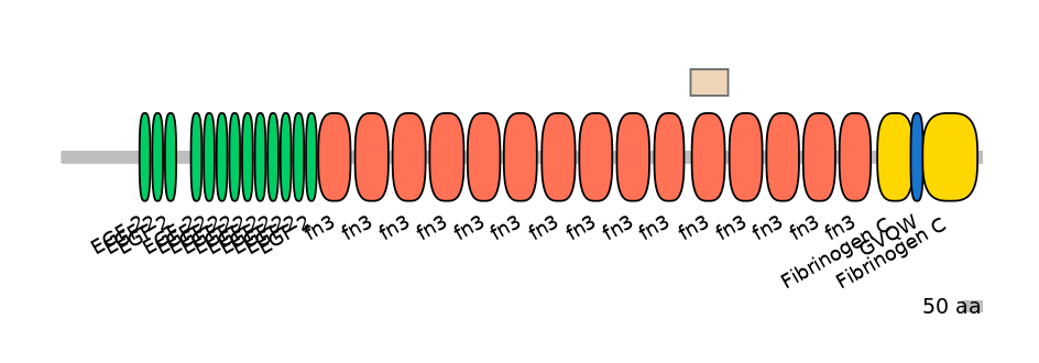 HsaEX0066150-EXC