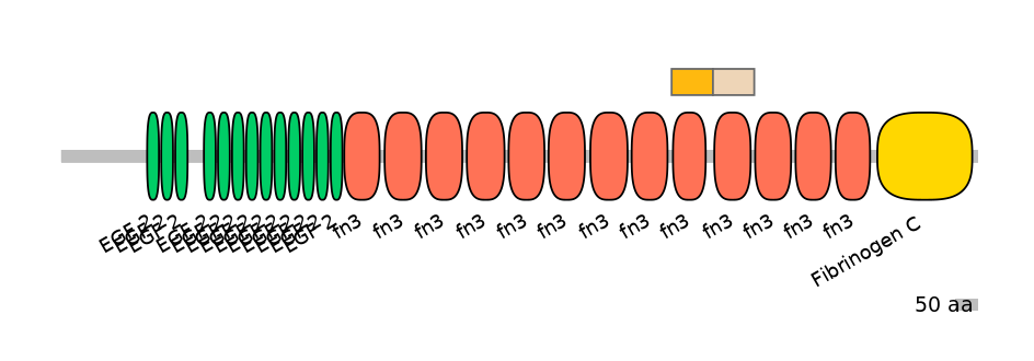 HsaEX0066151-EXC
