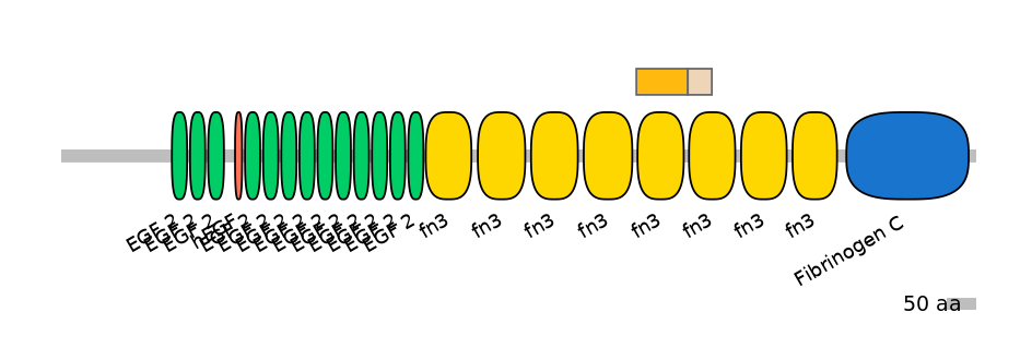 HsaEX0066152-EXC