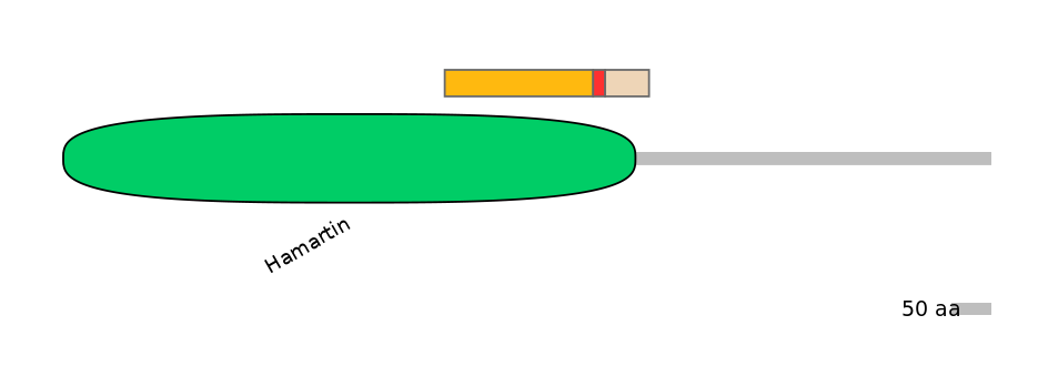 HsaEX0067499-INC