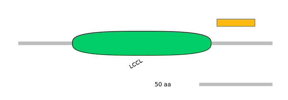HsaEX0070381-EXC